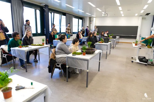 Copyright : Michael Bally